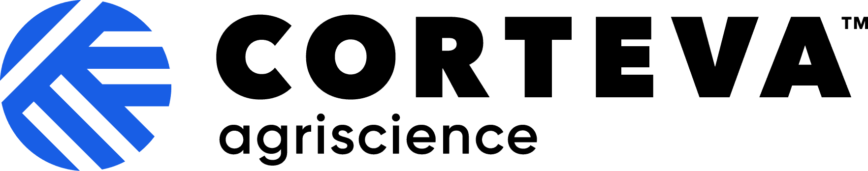 Pioner